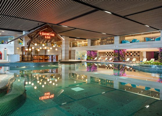 4 seasons pool bar flamingo cat ba