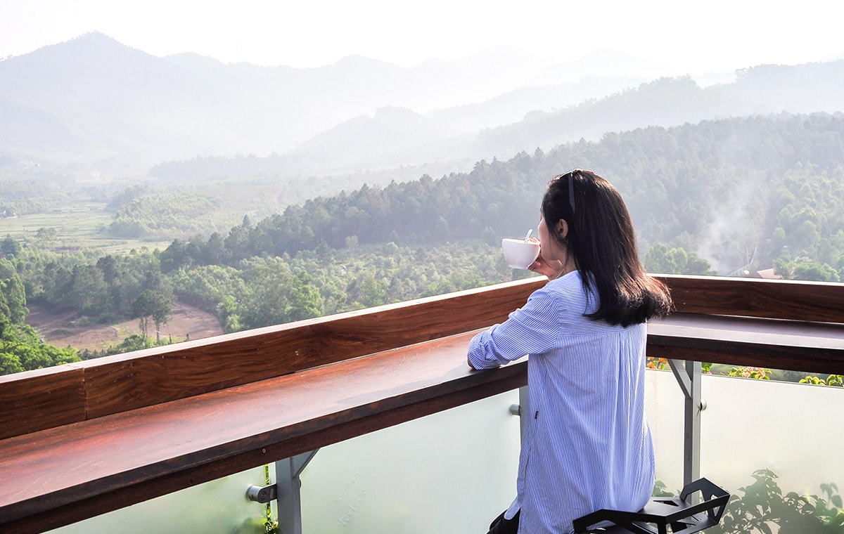 Forest Sky Bar