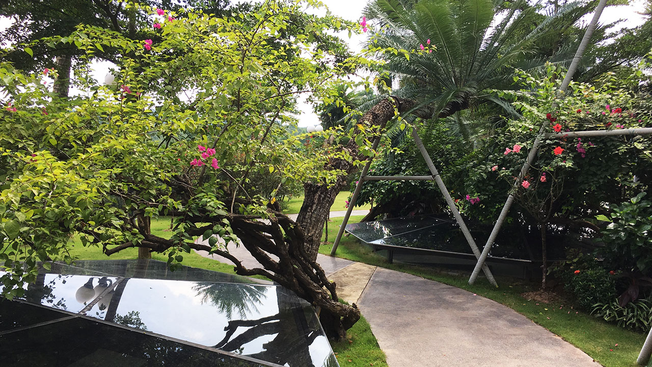Flamingo Đại Lải có những tiện ích và dịch vụ gì? Flamingo Đại Lải có những tiện ích và dịch vụ gì?