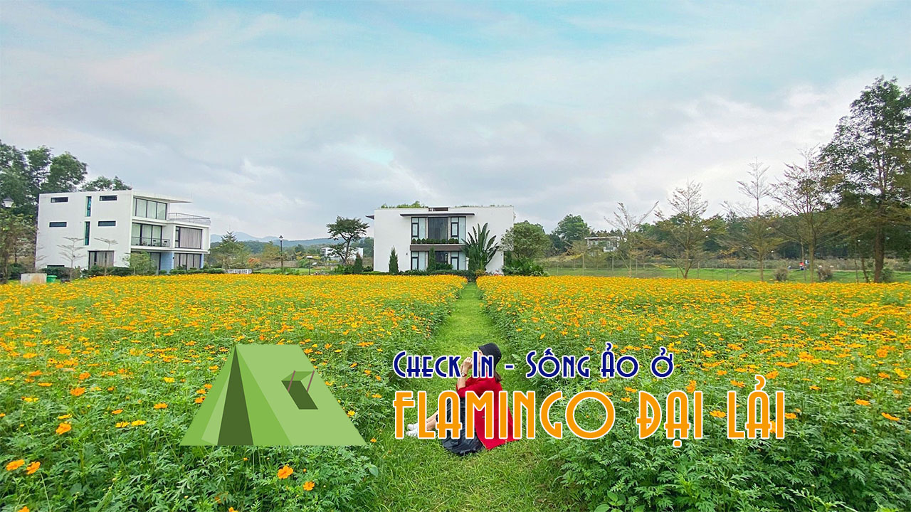 Flamingo Đại Lải có mấy khu, nên đặt phòng ở khu nào? (Flamingo Map)