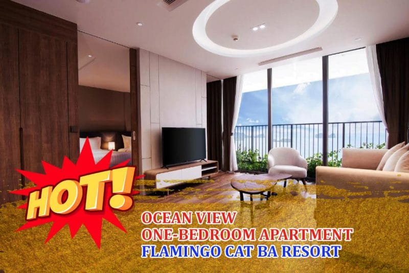 Căn hộ 1 phòng ngủ view biển Flamingo Cát Bà Resort