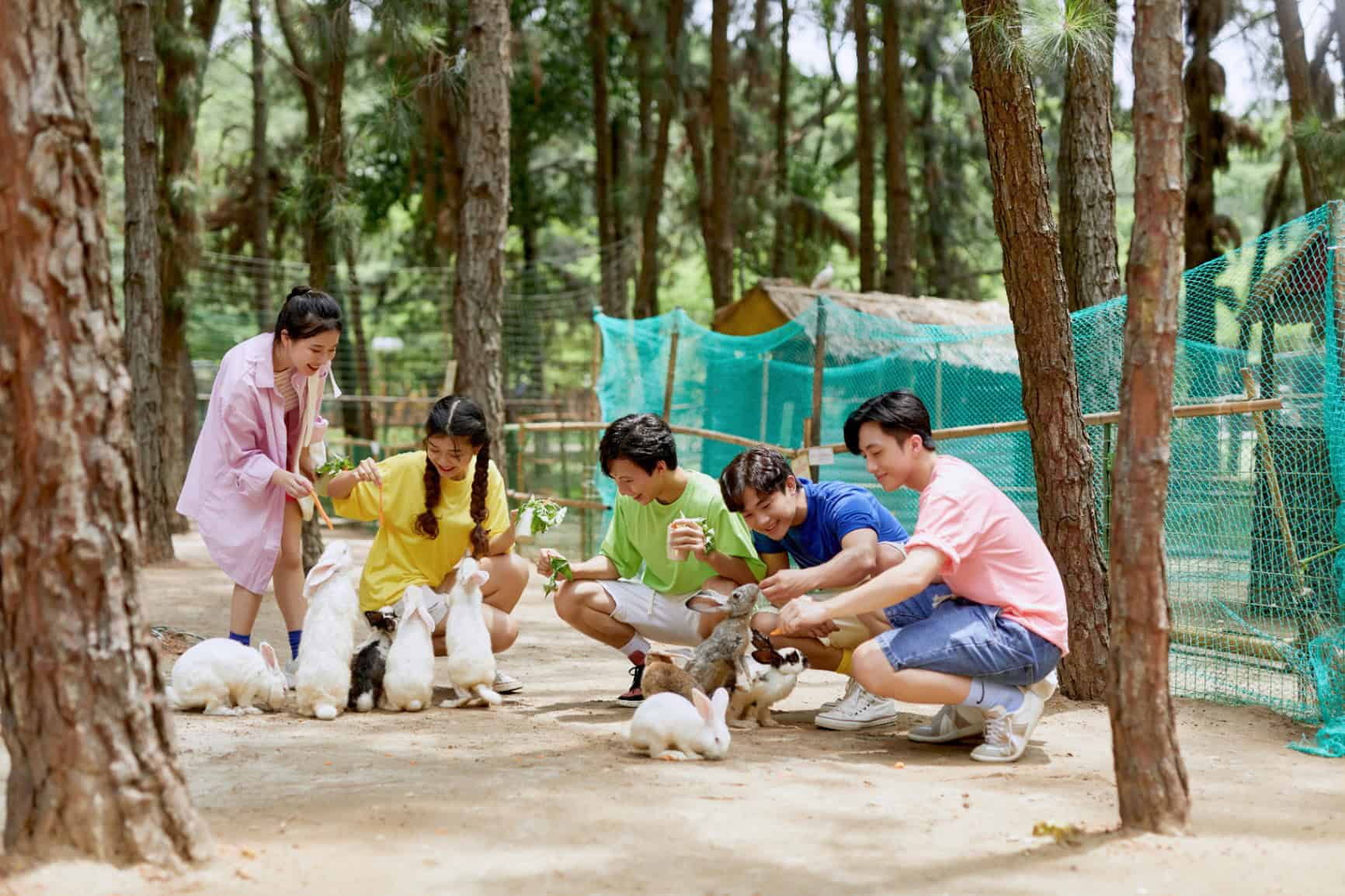 Flamingo Đại Lải có những tiện ích và dịch vụ gì?