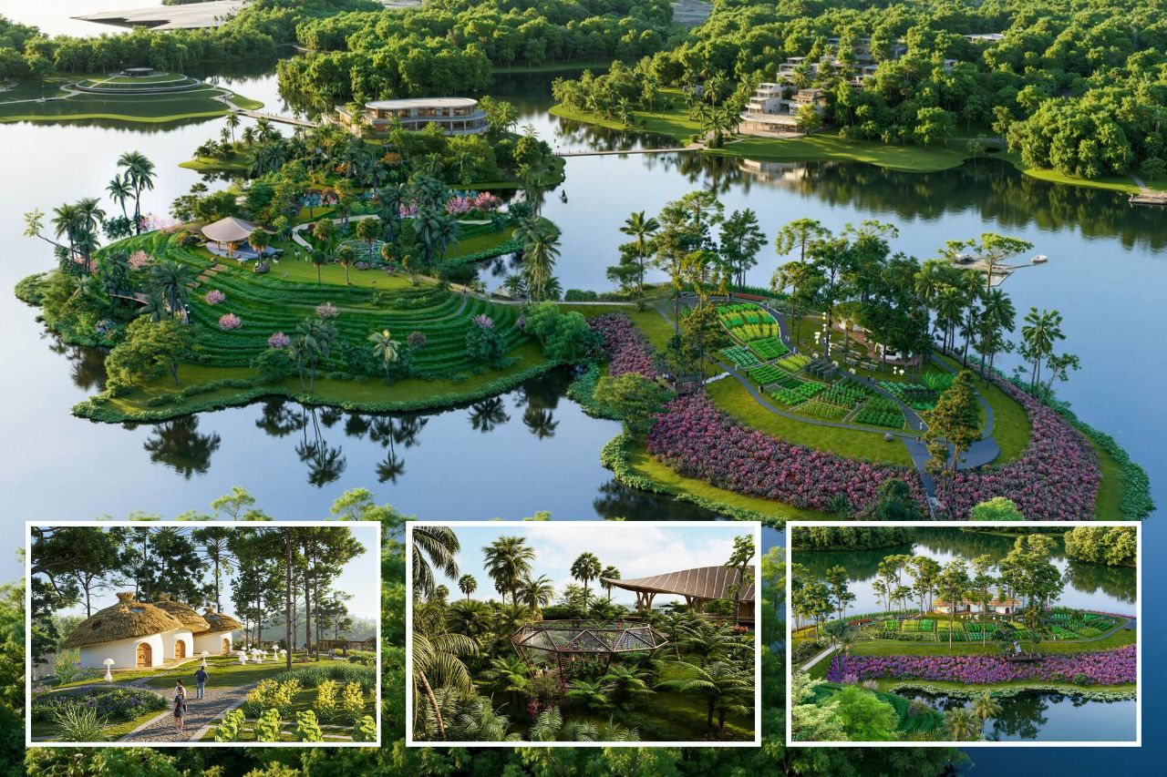 Flamingo Maison Hồ Núi Cốc